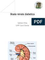 Boala renala diabetica - 3 nov -dr.Reghina.pdf