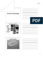 The Basics of Microbiology