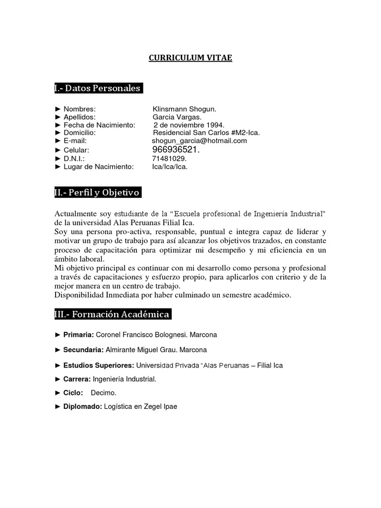 Curriculum vitae peruano 02 image