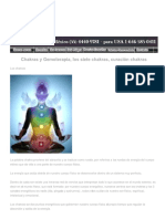 Chakras y Gemoterapia, Los Siete Chakra... Piedades Chakras, Utilización Chakras.