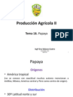 Clase 16. Papaya.pptx