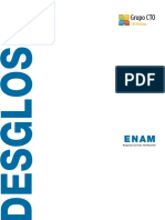 NR_DSG_ENAM.pdf