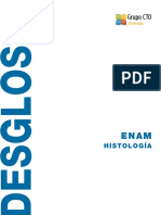 HS_DSG_ENAM.pdf