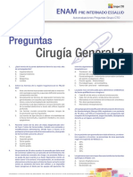 AEVAS_CG2_PERU.pdf