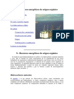 EL PETROLEO.docx