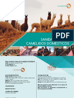 2016 Sanidad Animal en Camélidos Domesticos - SP & Heiffer