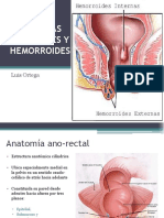 Patologías orificiales y hemorroides: anatomía, clasificación y tratamiento