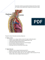 For PPT Esofagus