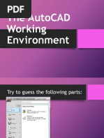 The AutoCAD Working Environment