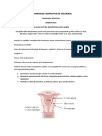 Ficha Embrio Utero en El Moemnto de La Implantación