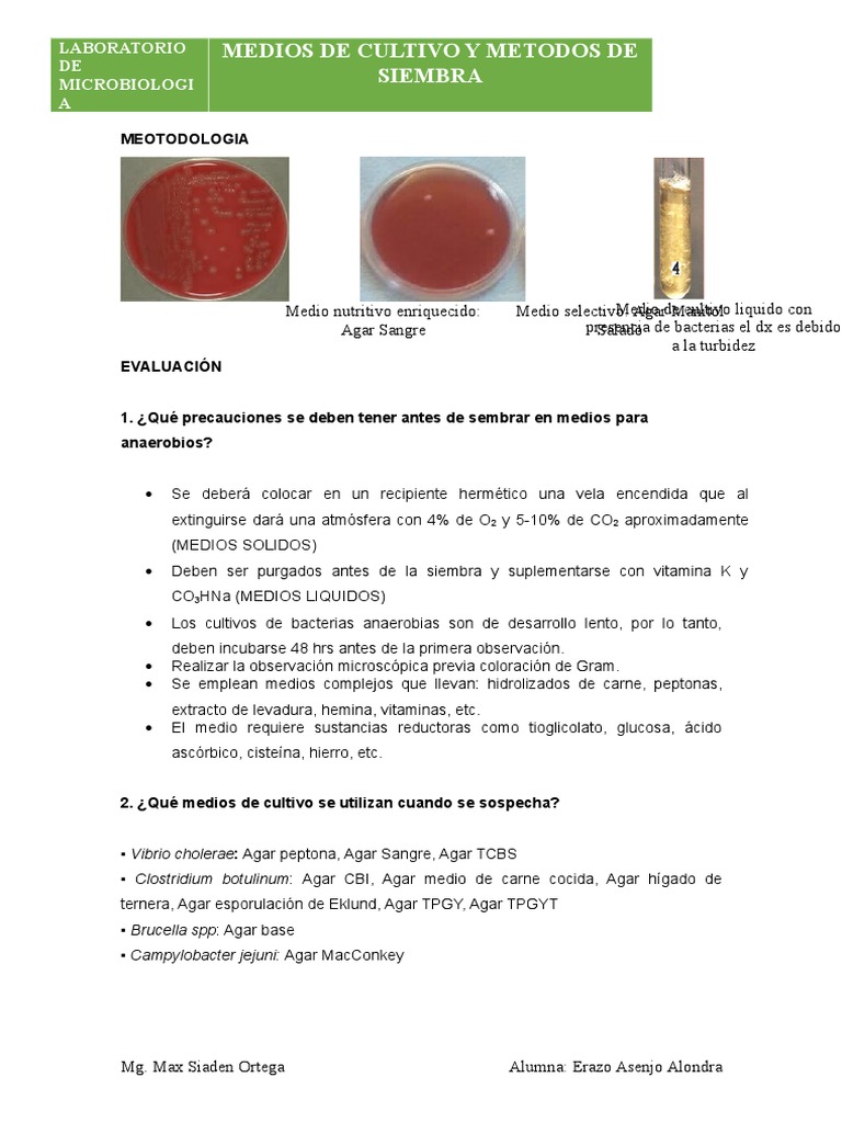 Este Lab de Micro | Descargar gratis PDF | Las bacterias | Microbiología
