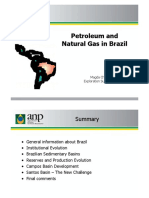 14 Petroleum and Natural Gas in Brazil