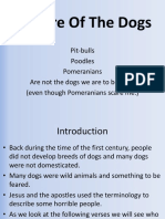 Beware of The Dogs: Pit-Bulls Poodles Pomeranians Are Not The Dogs We Are To Beware. (Even Though Pomeranians Scare Me.)