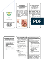 Leaflet Apendisitis PDF