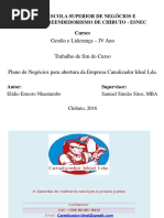 Plano de Negocios Canalizador Ideal