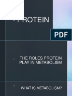 Roles of Protein in Metabolism