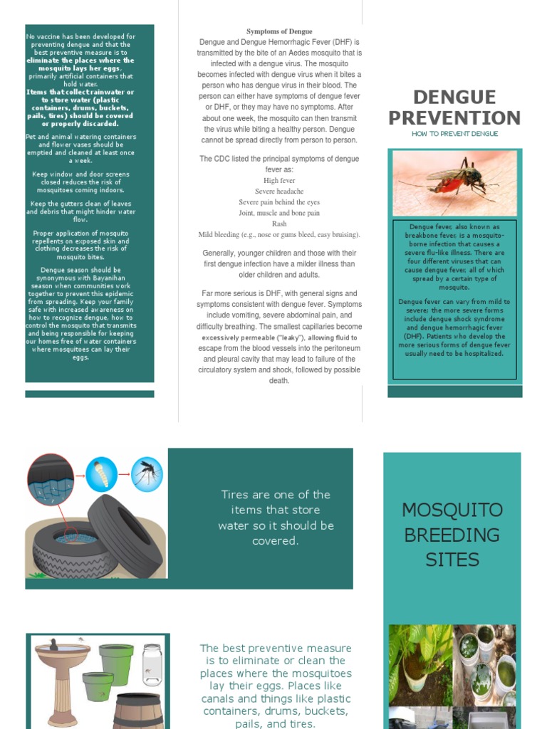 Iec Dengue Pdf Mosquito Epidemiology