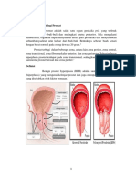 BAB I-V BPH + Hipertensi-1 AGGY