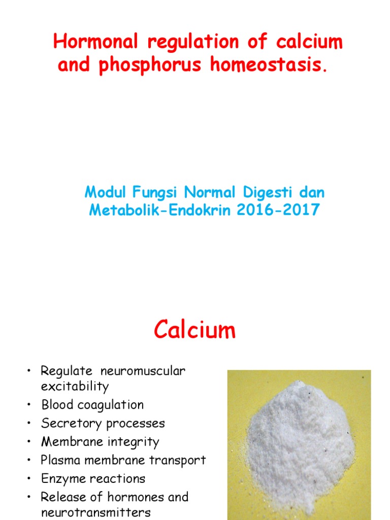Hormonal Regulation of Calcium and Phosphorus Homeostasis 1 | Glands