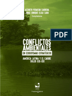Libro Conflictos Ambientales en Ecosistemas Estrategicos Univalle