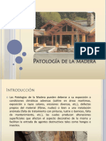 Patología de La Madera