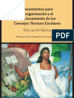 Lineamientos Consejos Técnicos Escolares.pdf