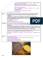 Políticas, sociedades y economías de las civilizaciones prehispánicas