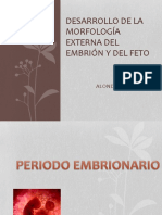 Desarrollo de La Morfología Externa Del Embrión