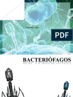 Bacteriófagos