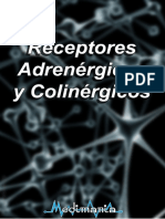 Receptores Nerviosos Adrenérgicos y Colinérgicos PDF