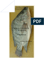 Dissecação Peixes.pdf