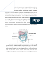 Trauma Abdomen