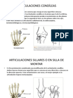 Articulaciones