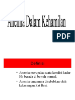 Anemia Dalam Kehamilan