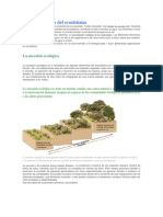 Funcionamiento Del Ecosistema