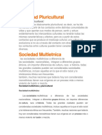 Sociedad Pluricultural