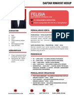 CV Felisia