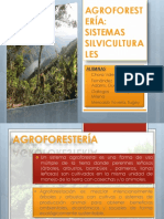 AGROFORESTERÍA