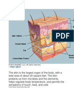 Prev Next: © 2014 Webmd, Llc. All Rights Reserved