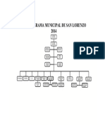 Organigrama de San Lorenzo