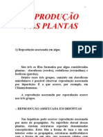 Reprodução das plantas