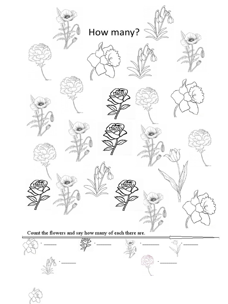 Count and Identify Flower Types | PDF