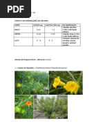 Árvores de Maceió-AL