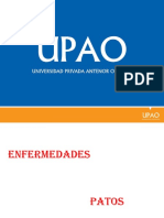 Enfermedades en Patos