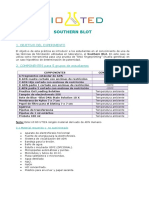 Southern Blot Analysis