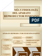 Anatoma y Fisiologa Del Aparato Reproductor Femenino 1193079935919884 5
