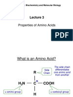 BIOL 3020: Biochem Lecture 3 Amino Acids