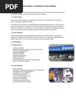 Sector Formal E Informal de Una Empresa