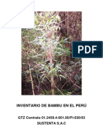 inventario del bambu en el perú.pdf