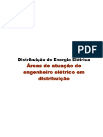 Áreas de atuação do Engenheiro Elétrico em Distribuição.pdf